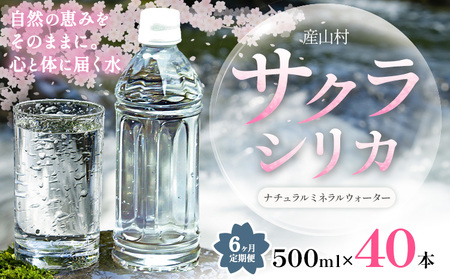 【6ヶ月定期便】天然水 サクラシリカ 500ml × 40本 みずの里