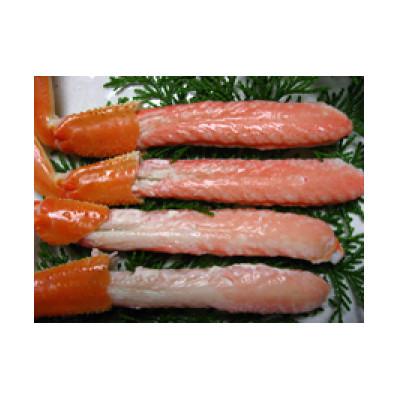 ふるさと納税 岩美町 鳥取網代港　地元で大人気　浜茹で!若松葉ガニ(中5枚分10肩)【さかなや新鮮組】 |  | 01