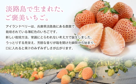 淡路島アイランドベリー 白苺淡雪【2026年3月発送予約受付・お届け日指定不可】　[いちご]