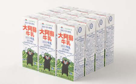 【3か月連続定期便】 大阿蘇牛乳 200ml 12本×3回 計36本 牛乳 ぎゅうにゅう 成分無調整牛乳 ミルク 紙パック 定期便 長期保存 熊本県