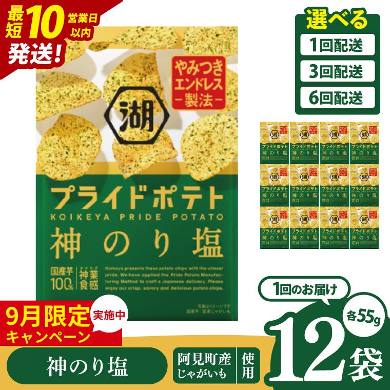 【ふるさと納税】【9月限定価格】【選べる定期便回数】湖池屋 プライドポテト 神のり塩 55g×12個|お菓子 おかし おやつ スナック スナック菓子 菓子 ポテチ 大容量 おつまみ じゃがいも（93-151）