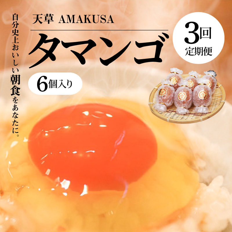 S038-T03_【定期便3回】天草 タマンゴ 6個 卵