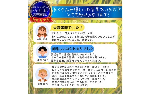 令和8年産【令和9年1月中旬配送】 新米 先行予約 新潟県産 コシヒカリ 10kg 10キロ 最高品質のお米を追求し続ける 篠宮農場 こしひかり 上越市 精米