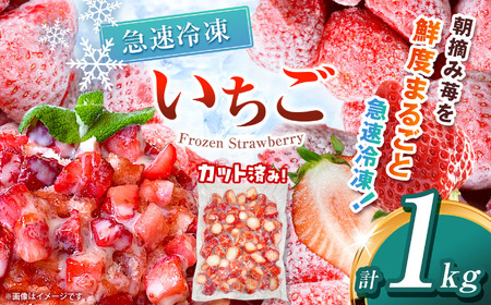 【栃木県共通返礼品】冷凍いちご 1kg | いちご とちあいか 冷凍 冷凍イチゴ スイーツ ジャム スムージー たっぷり 大粒  甘い 美味しい 果物 デザート 栃木県 那珂川町 送料無料
