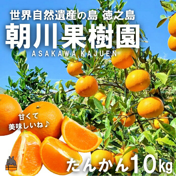 【ふるさと納税】《今が旬！》～世界自然遺産の島から～朝川果樹園さんのたんかん（10kg）　( タンカン フルーツ みかん 果物 柑橘 甘い 徳之島 奄美 鹿児島 もぎたて フレッシュ 世界自然遺産 フルーツアイランド 先行予約 )