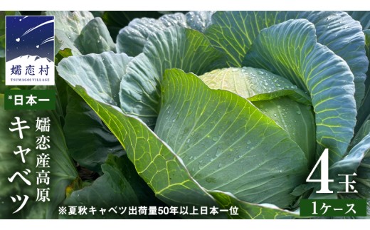 【7月上旬以降発送開始】 嬬恋キャベツ  嬬恋産 高原キャベツ4玉1ケース 先行予約 2025年発送 旬の野菜 きゃべつ 産地直送 群馬 お取り寄せ 野菜 セット Lサイズ ZIP! [AS002tu
