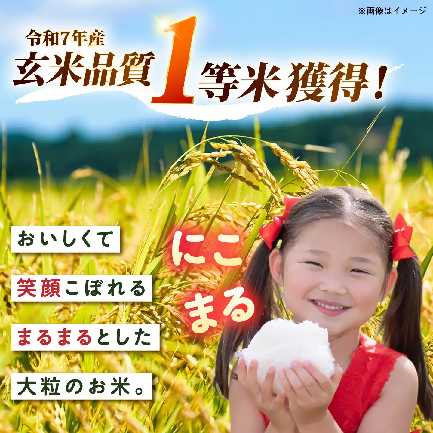 【令和7年産】にこまる  白米 5kg  [AGR001] 