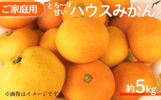 【2026年6月中旬頃から順次発送】みかん 家庭用 ハウスみかん 5kg  ミカン 柑橘 ふるーつ くだもの はうすみかん 家庭用ハウスみかん 愛媛のみかん 甘いハウスみかん フルーツ 果物 松山のはうすミカン ハウスミカン 温州みかん 極早生種 早生種 温州ミカン 果肉 果汁 ハウスみかん果汁 ミカン果汁 愛媛みかん5kg 柑橘類 カンキツ かんきつ 蜜柑 蜜橘 樒柑 松山のハウスみかん