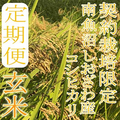ふるさと納税 南魚沼市 【毎月定期便】【玄米8Kg】生産者限定 南魚沼しおざわ産コシヒカリ全12回 |  | 02