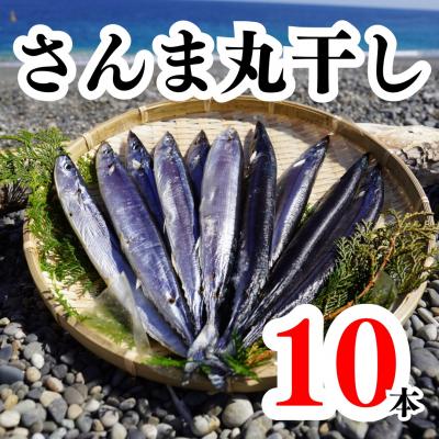 ふるさと納税 熊野市 さんま丸干し 10本 魚作商店 3代目の丸干し製法