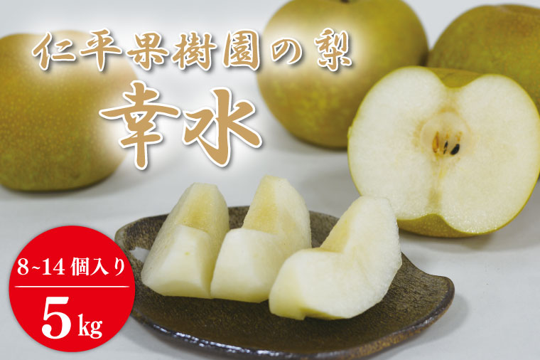【先行予約】【数量限定】仁平果樹園の梨 「幸水」5kg (8個～14個) (8月下旬より順次配送) | 果物 新鮮 フルーツ ギフト 梨 ナシ 益子町産梨 甘い あまい 糖度11.5以上 糖度保証 果汁 果肉 栃木県 益子町 (DB001)