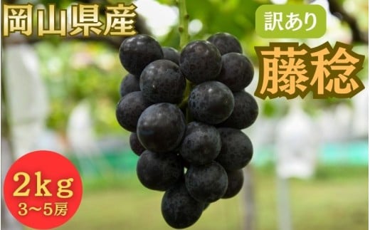【2026年先行予約】＜訳あり＞岡山県産 藤稔 ２kg以上 (3~5房)【fsfm004-01】