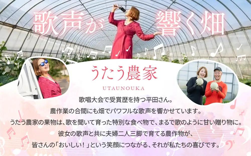 【先行予約】種ごと食べられる！小玉スイカ ピノ・ガール 2玉（1玉2kg前後×2玉）※着日指定不可 ※離島への配送不可 スイカ