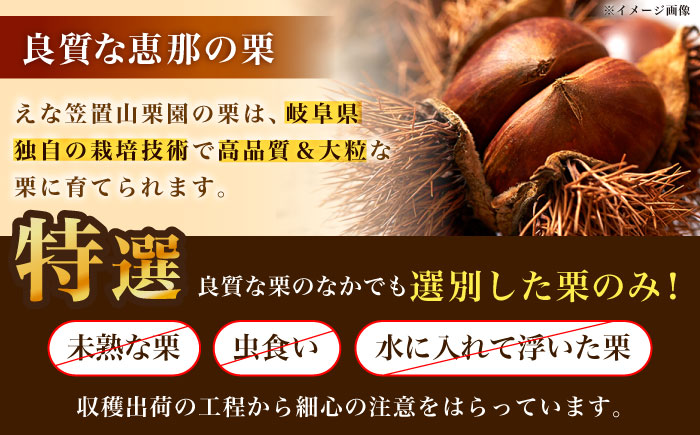 冷凍むき栗「日本栗」 カット500g（250g×2P）/ 栗 冷凍 生栗 くり むき栗 マロン 低温熟成 日本栗 国産 和栗 岐阜県産 恵那市産 産地直送 送料無料 お取り寄せ ギフト 贈答 / 恵那