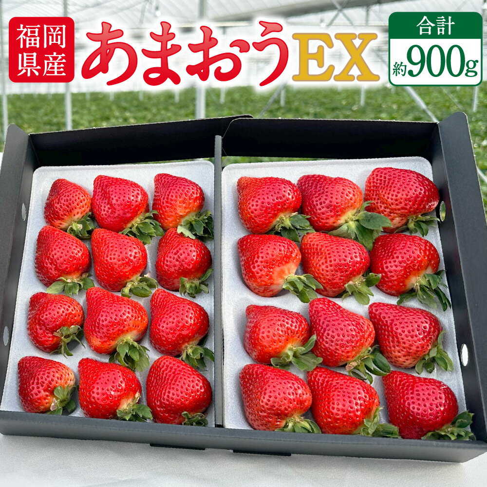【ふるさと納税】 先行予約 福岡県産あまおう EX 合計約900g 約450g×2パック 〈特別栽培〉 あまおう いちご イチゴ 苺 フルーツ 果物 国産 九州産 福岡県 岡垣町 冷蔵 ギフト配送 先行予約 送料無料 【2026年1月上旬～3月下旬発送予定】