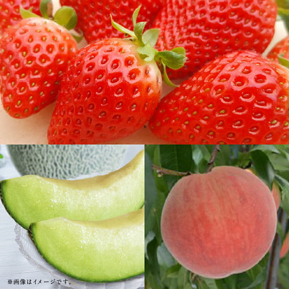 【ふるさと納税】【フルーツ3回定期便】 球磨のいちご（1kg）・桃（1kg）・アンデスメロン（5kg） ゆうべに 苺 イチゴ メロン めろん もも モモ くだもの 果物 果実 フルーツ 冷蔵 熊本県産 国産 九州 熊本県 あさぎり町 送料無料 【2026年1月中旬～6月下旬迄順次発送予定】