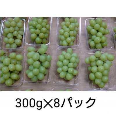 《2025年8月より順次発送》宇城市産・大粒シャインマスカット 約300g×8パック【配送不可地域：離島】【1420859】