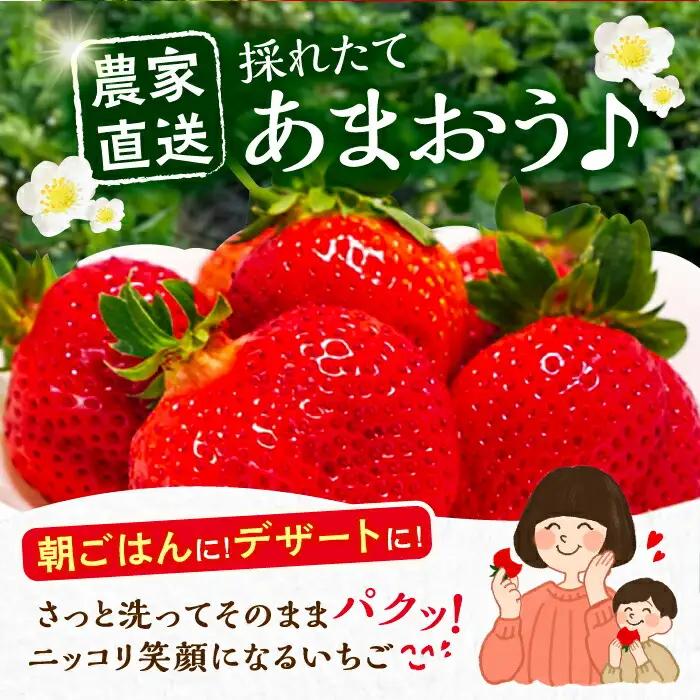 【先行予約】【全3回定期便】あまおう いちご 270g以上×4P VAB021 あまおう
