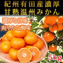 【ふるさと納税】紀州有田産濃厚甘熟温州みかん5kg【先行予約】【UT09】 | 和歌山 ふるさと 納税 楽天ふるさと 支援 支援品 返礼品 お礼の品 名産品 特産品 取り寄せ お取り寄せ ご当地 ミカン フルーツ 温州みかん 蜜柑 柑橘類 かんきつ類 果物 ふるーつ くだもの お土産