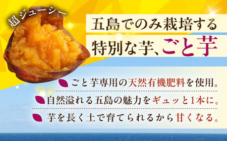 【賞味期限に訳あり】焼き芋 ごとふわり（シルクスイート）300g×6袋 五島市/ごと[PBY064]