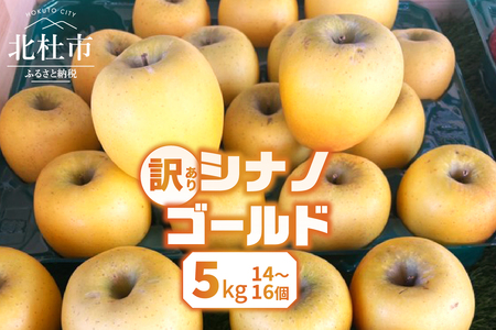 【2026年先行予約】【訳あり】シナノゴールド5kg(14個～16個） りんご 山梨県産  期間限定 家庭用 規格外 フルーツ 果物 果実 山梨 北杜市