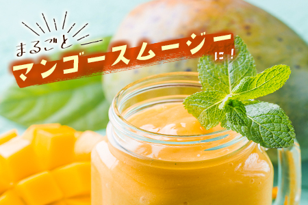 宮崎県産 完熟マンゴー＜2L×2玉 (計700g以上) ＞化粧箱入 フルーツ くだもの 国産【C355-25】
