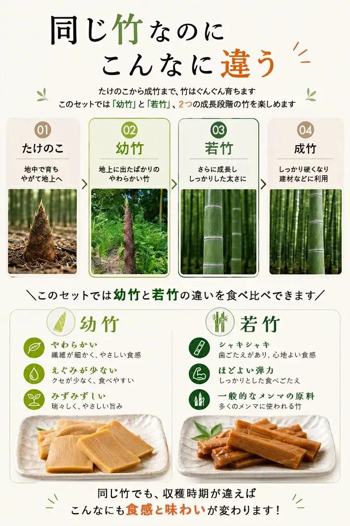遊佐産メンマセット 板メンマ 山形玉コン味 300g×3袋 鳥海遊佐メンマ 煮干しラーメン味 150g×3袋 計6袋 山形県遊佐産 おつまみ おかず 醤油ラーメン トッピング 極太メンマ 若竹メンマ 