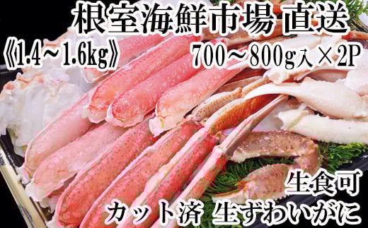 B-28088 根室海鮮市場＜直送＞生食可！カット済み生ずわいがに700～800g×2P(計1.4～1.6kg)
