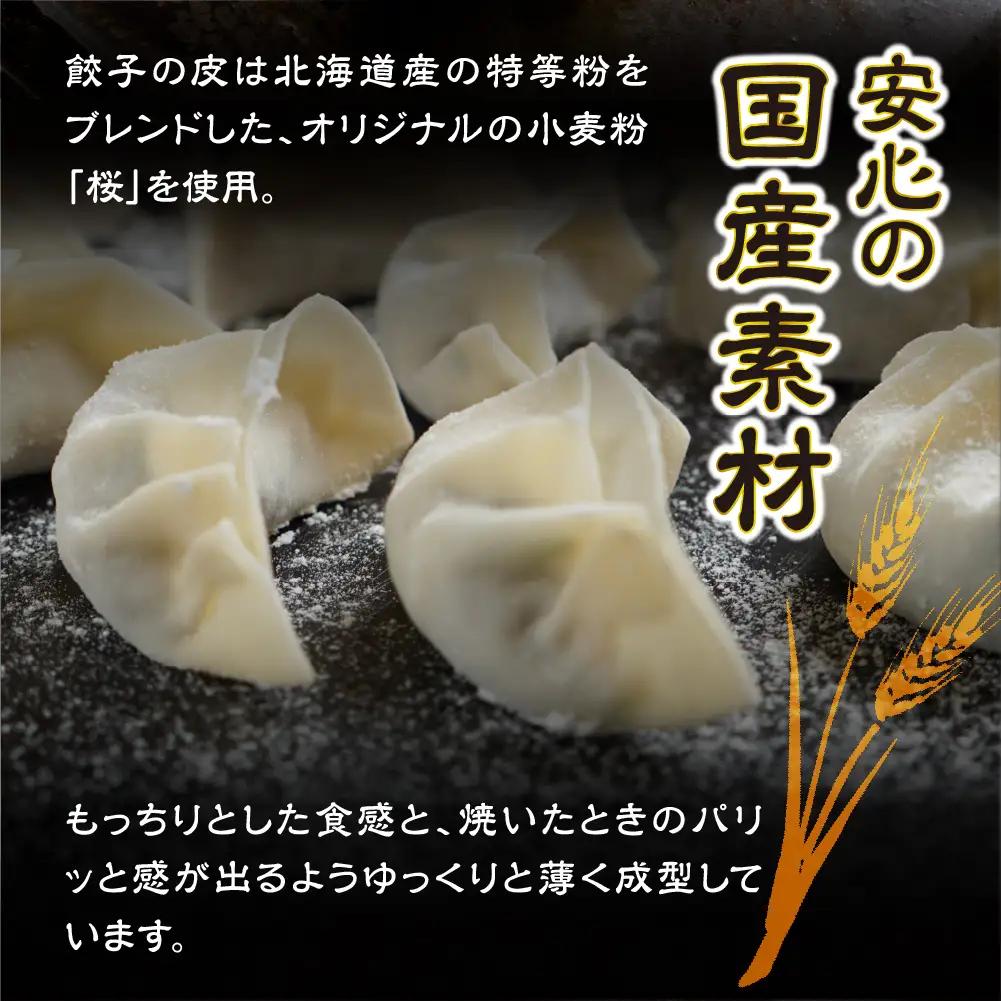 国産素材 冷凍餃子 100個 餃子 餃子