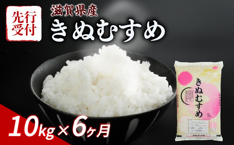 
                  【令和8年産】 先行予約 新米 きぬむすめ 10kg ( 5kg ×2)  6回定期便 令和8年産 定期便 米 精米 こめ コメ お米 ご飯 米 キヌムスメ 米定期便 6か月定期便 6ヶ月定期便 6回 6ヶ月 6か月 滋賀 彦根
                
