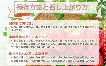 【先行予約】福岡県産あまおう 270g×6パック ※2026年4月上旬順次配送 [TY015-1] ※配送不可：北海道・沖縄・離島【福岡県須恵町】いちご イチゴ 苺 フルーツ 果物 国産 九州 送料無