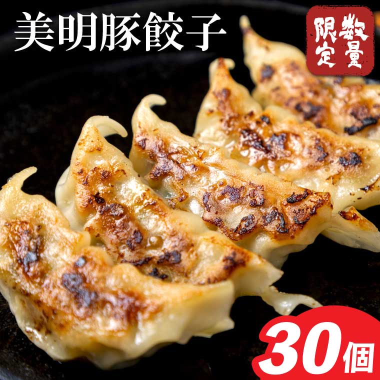 ★数量限定★餃子 美明豚「びめいとん」のジューシー餃子 1袋(30個入り)｜餃子 ぎょうざ ギョウザ 美明豚 数量限定 びめいとん 肉 肉加工品 豚肉 お肉 ジューシー  茨城県 行方市(HJ-5)