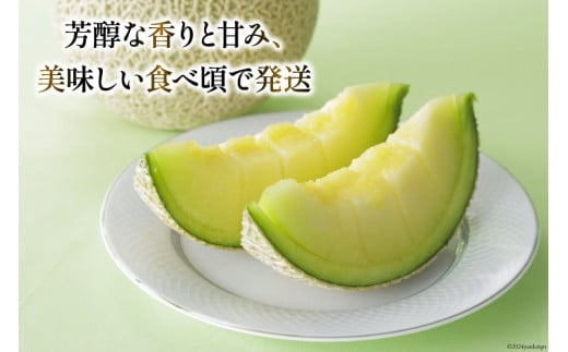 【期間限定発送】LAA048 その道一筋の生産者がじっくり丁寧に育てた マスクメロン 2玉入 [ メロン めろん 西瓜 フルーツ 果物 くだもの 青肉 甘い 芳香 高糖度 糖度 長崎県 島原市 ]