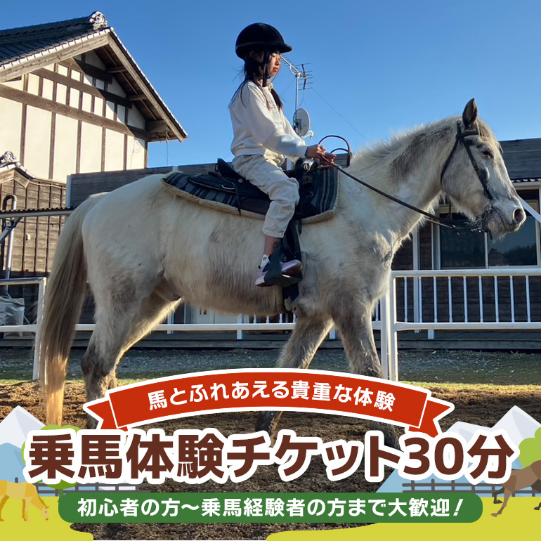 ★ROCKY★ 乗馬体験チケット 30分 92-B