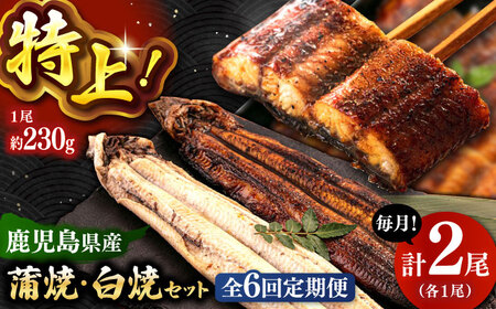 全6回定期便 鹿児島産うなぎ2尾 蒲焼・白焼セット 桂川町/山水商事 [ADAH019] うなぎ 蒲焼き 白焼き セット 九州