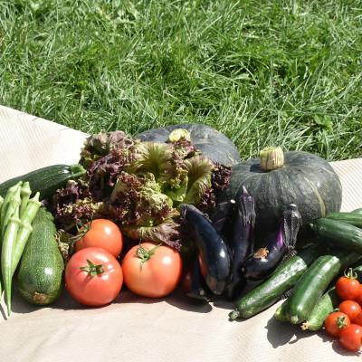 ふるさと納税 旭川市 【北海道】旬の野菜詰め合わせ[6〜8種類]栽培期間中農薬・化学肥料不使用_02944