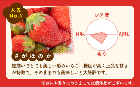 【先行予約】食べ比べ！恋みのり＆さがほのか 各220g 詰め合わせ セット /赤いちご いちご食べ比べ 甘いいちご 化粧箱入りいちご イチゴ 苺  佐賀県産いちご ブランドいちご さがほのか 少ない酸