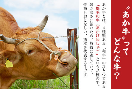 肥後のあか牛（熊本県産）すき焼き用1000g 南阿蘇食品《90日以内に出荷予定(土日祝除く)》