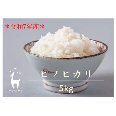 ふるさと納税 京都市 【京都ファーム】令和7年産 京都ファームのヒノヒカリ 精米5kg