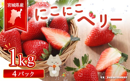 
                  宮城県産いちご「にこにこベリー」約1kg（250ｇ×4）| ふるさと納税 宮城県 丸森 いちご 苺 イチゴ ストロベリー フルーツ 果物 くだもの オリジナル品種 デザート スイーツ 甘味 酸味 断面 赤い お菓子作り 製菓材料 生食 家庭用 お取り寄せ ワンストップ マイページ ベリー農園かんの 丸森町【58002】
                
