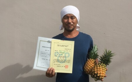 2024年 先行予約 ピーチパイン 約9.5kg 早旬 パイン 夏まで待ちきれない！★たっぷり大家族サイズ★ 西表島 初エコファーマー認定