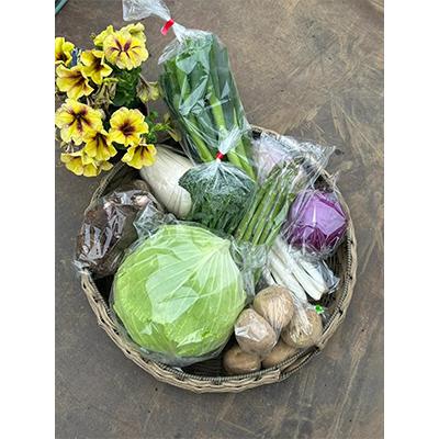 ふるさと納税 大磯町 季節のこだわり野菜 詰め合わせ 5kg |  | 01