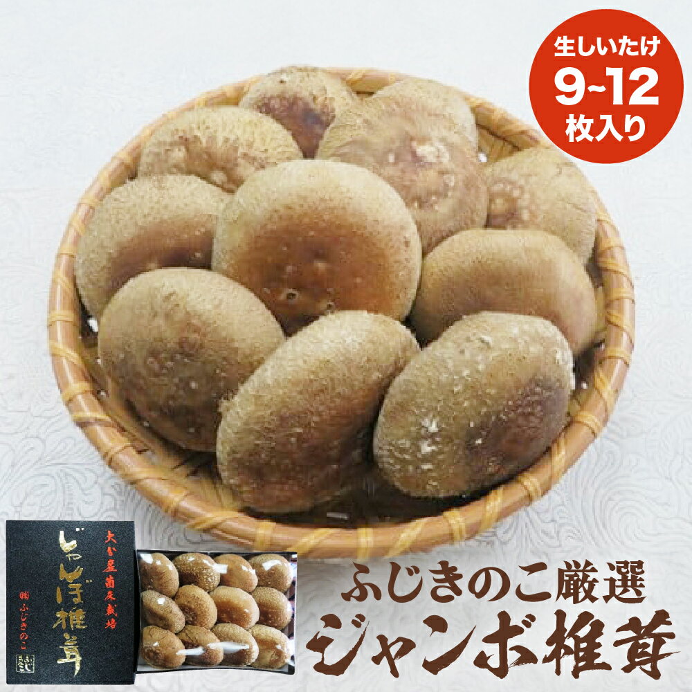 【ふるさと納税】 大分県産 生しいたけ （9〜12枚入り） 贈答用 ジャンボ 椎茸 ( 生しいたけ ) 生しいたけ 箱入り 贈答用 贈り物 肉厚 しいたけ 煮物 鍋 焼き バター醤油 トースター オーブンジューシー 冷蔵保存