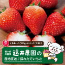 【ふるさと納税】産地直送!!栃木県遠井農園の美味しいとちあいか【270g×4パック(2箱)】【配送不可地域：離島】【1518939】