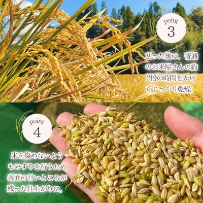 ふるさと納税 曽於市 【2025年11月以降順次発送予定】柏木さんこだわりのうまSoo米(5kg) |  | 03