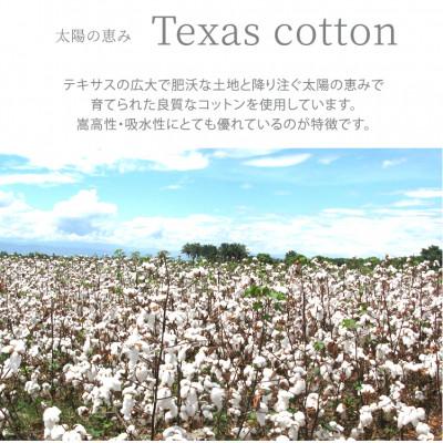 ふるさと納税 和泉市 【シングル】太陽の恵み テキサスコットンタオルケット(140×190cm)　SNT-20TX-WH |  | 03
