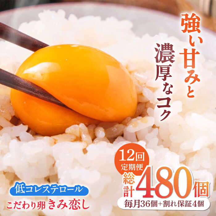 【ふるさと納税】【12回定期便】きみ恋し 箱入り 40個（36個+割れ保証4個）×12ヶ月 総計480個　広川町/伊藤養鶏場[AFAJ009]