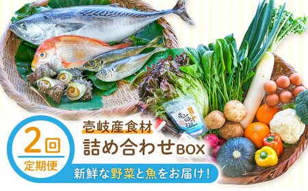【全2回定期便】壱岐産食材詰め合わせBOX「野菜と魚」《壱岐市》【壱岐イルカパーク＆リゾート】塩 醤油 卵 魚介類 海鮮[JBF037] 九州