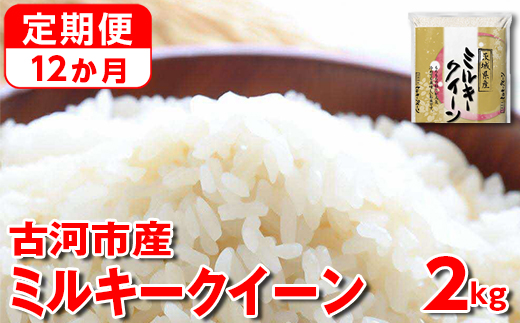 【新米】【定期便 12か月】令和6年産 古河市産ミルキークイーン 2kg◇ ｜ 米 こめ コメ 2キロ 定期便 ミルキークイーン みるきーくいーん 古河市産 茨城県産 贈答 贈り物 プレゼント 茨城県 古河市 直送 産地直送 送料無料 _DP33