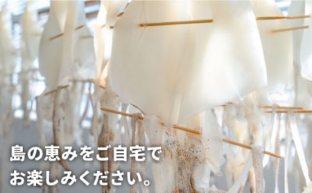 【全6回定期便】壱岐産干物詰め合わせセット [JBJ009] 定期便 干物 ひもの アジ イワシ カマス イカ セット 詰め合わせ 156000 156000円  コダワリ干物・ひもの・乾物 こだわり